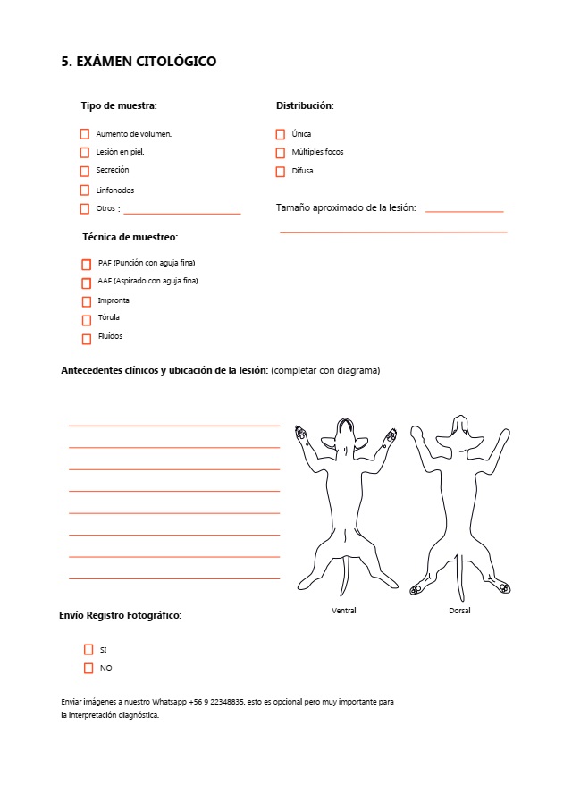 Orden Examen Dorso
